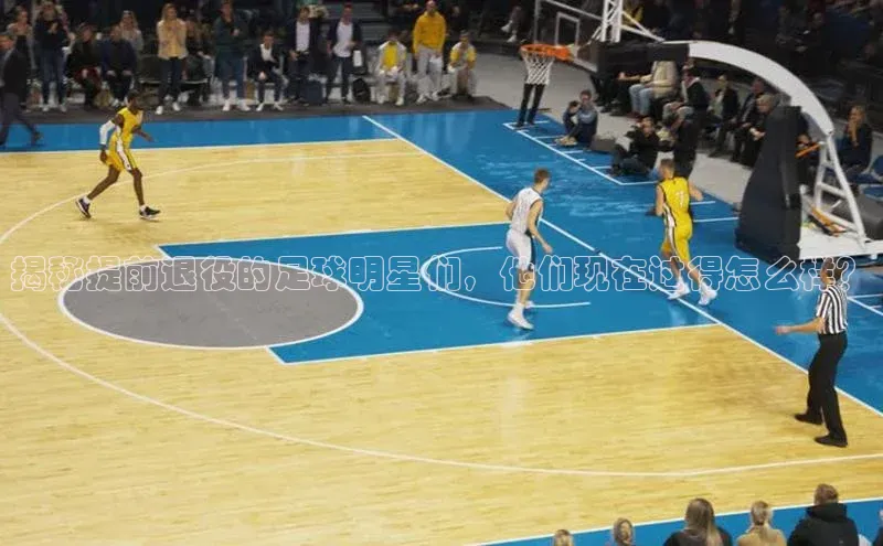 333体育app最新版本更新内容百度翻译App揭秘提前退役的足球明星们，他们现在过得怎么样？