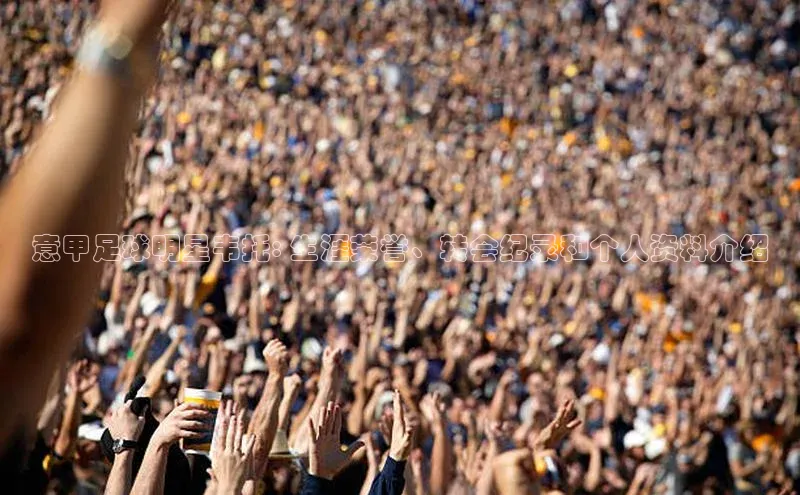 333体育官方网址一径科技意甲足球明星韦托: 生涯荣誉、转会纪录和个人资料介绍