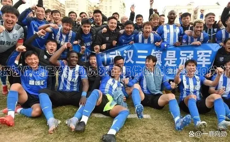 333体育平台app阿里尔公司探讨伊朗足球运动员死亡事件的原因及影响分析