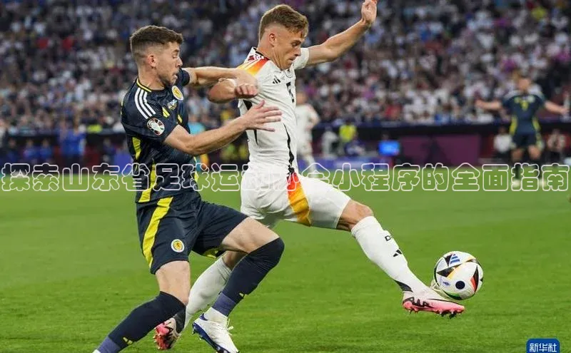 333体育官方网址百度众测探索山东省足球运动协会小程序的全面指南