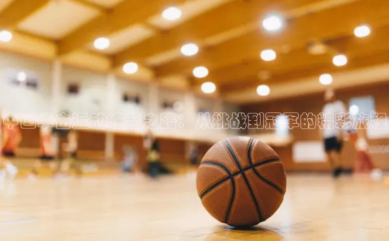 333体育官网登录入口巴美列捷福中国拳击运动崛起之路：从挑战到冠军的精彩旅程