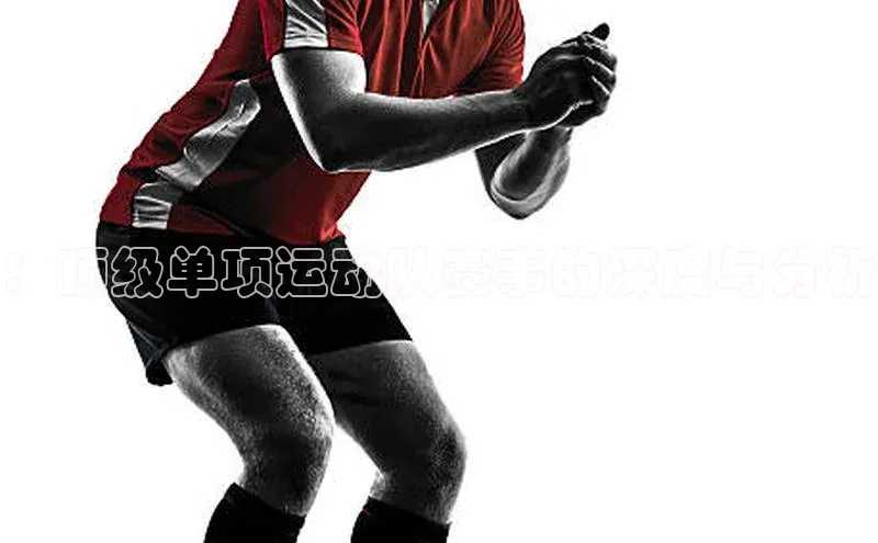 333体育平台网页版壹网壹创：顶级单项运动队赛事的深度与分析