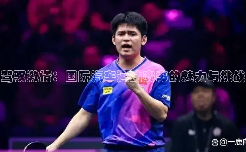 333体育平台app台登录金山办公驾驭激情：国际汽车运动赛事的魅力与挑战