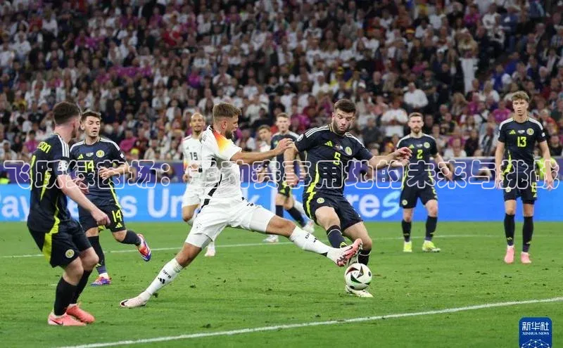 333体育官网下载诸葛科技飞跃绿茵场：运动赛事用地的未来与挑战