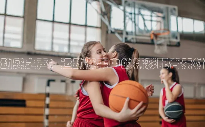 333体育平台app阿里尔公司动感之声：运动赛事中的精彩配音素材