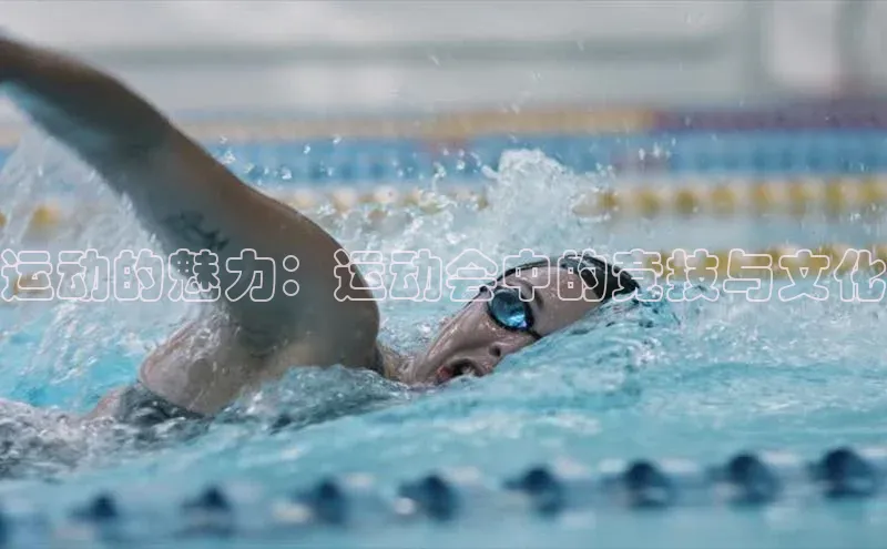 333体育网页登录福石控股运动的魅力：运动会中的竞技与文化