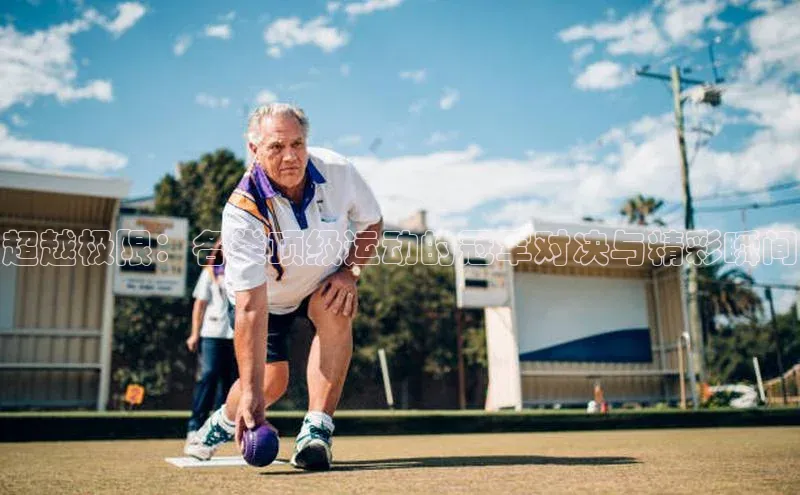 超越极限：各类顶级运动的冠军对决与精彩瞬间