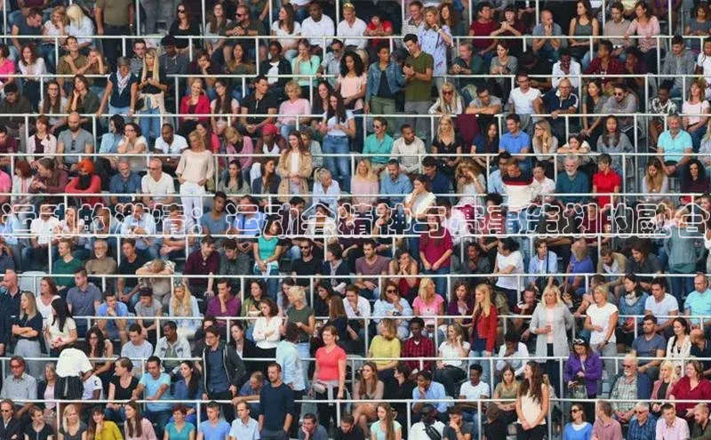 运动的激情：运动会精神与赛事策划的融合