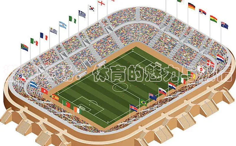 激越赛场：体育的魅力与激情