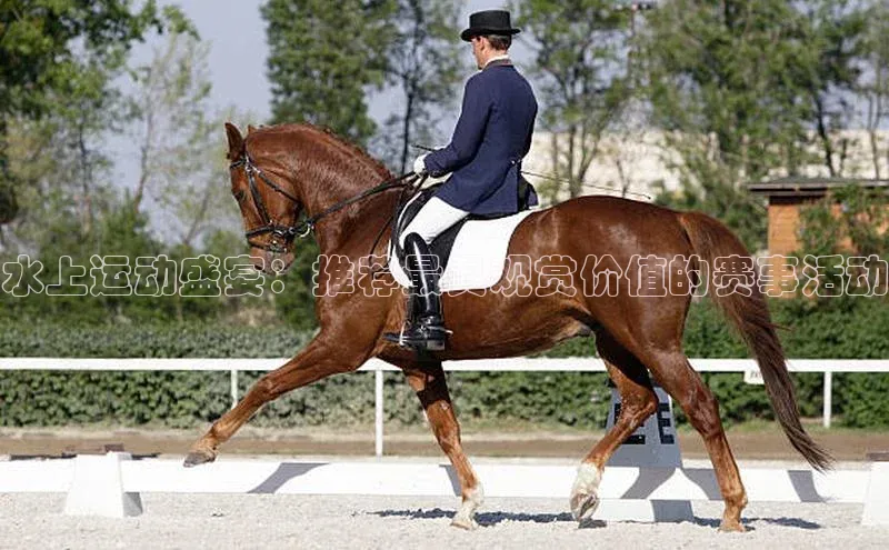 水上运动盛宴：推荐最具观赏价值的赛事活动