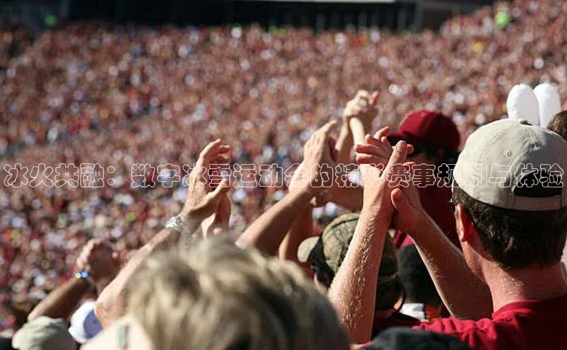 冰火共融：数字冰雪运动会的精彩赛事规划与体验