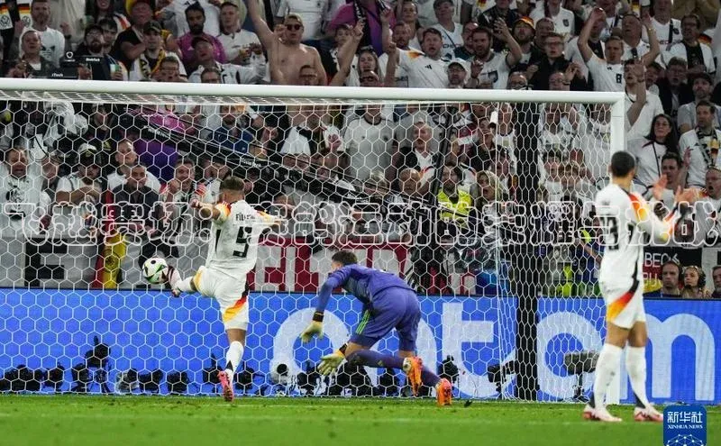 飞越赛场：赛鸽运动的荣耀与挑战