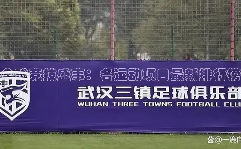 全球竞技盛事：各运动项目最新排行榜