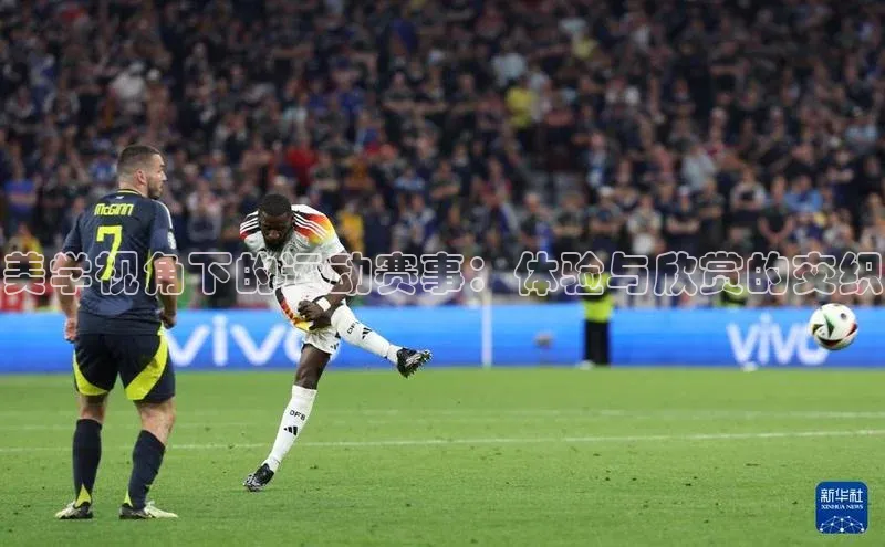 美学视角下的运动赛事：体验与欣赏的交织