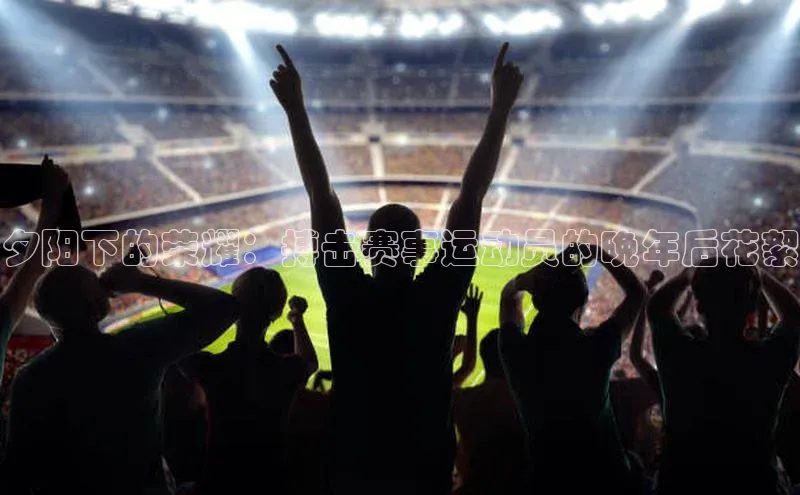 夕阳下的荣耀：搏击赛事运动员的晚年后花絮