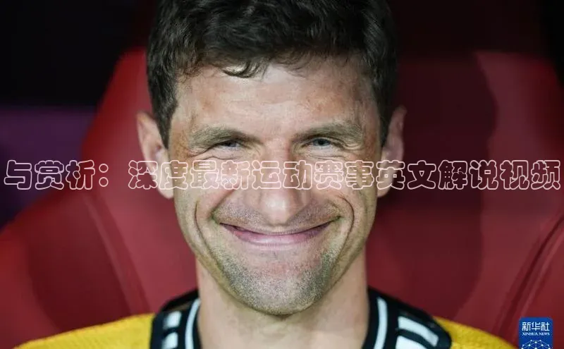 333体育官网app下载