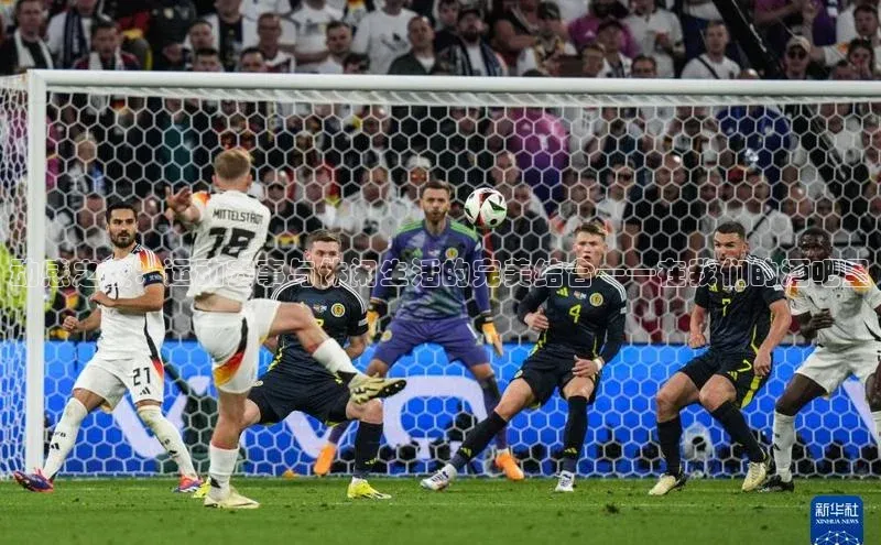 333体育平台App下载安卓手机下载