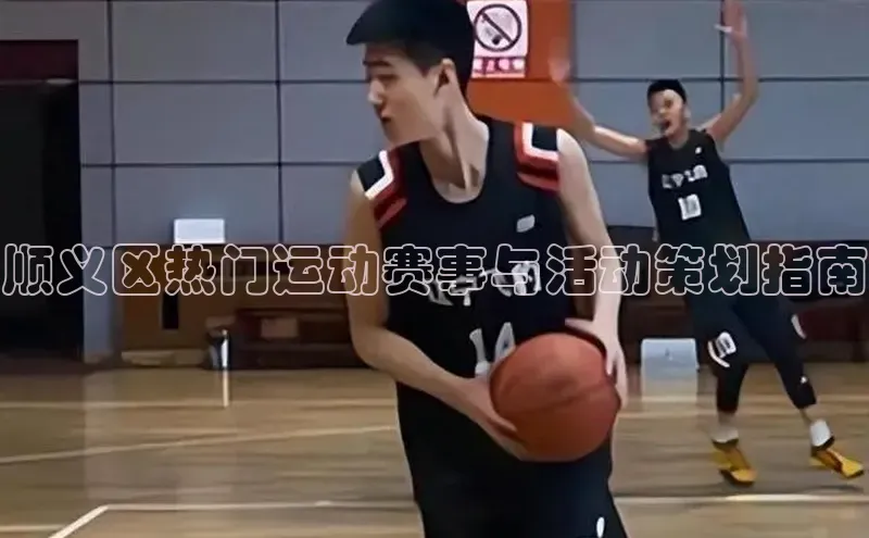 333体育平台App下载安卓手机下载