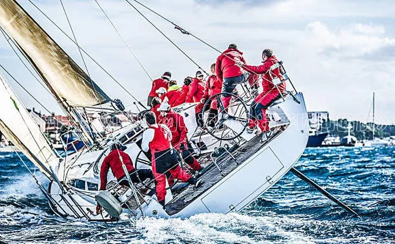 333体育官方网址