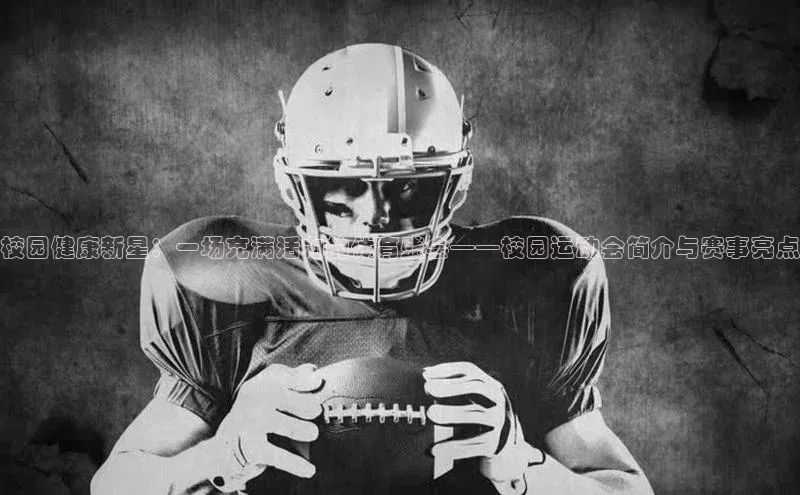 333体育app官方最新版本功能介绍