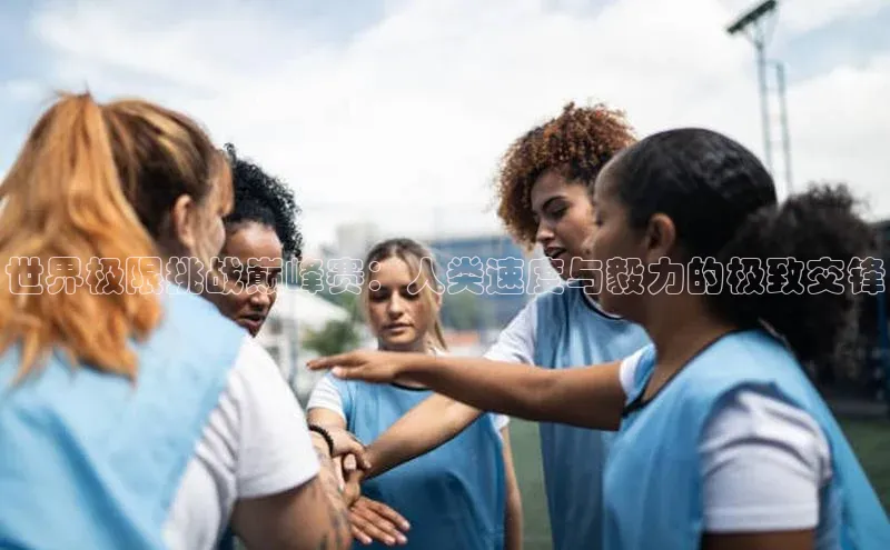 333体育手机版入口