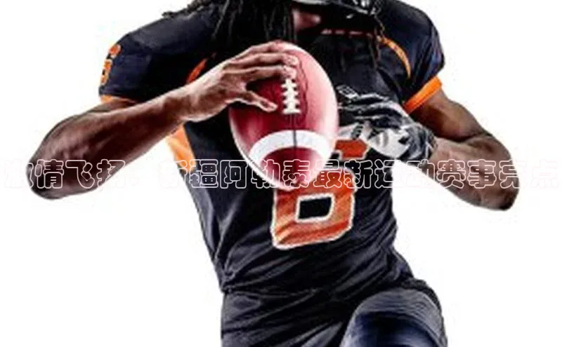 333体育官网入口