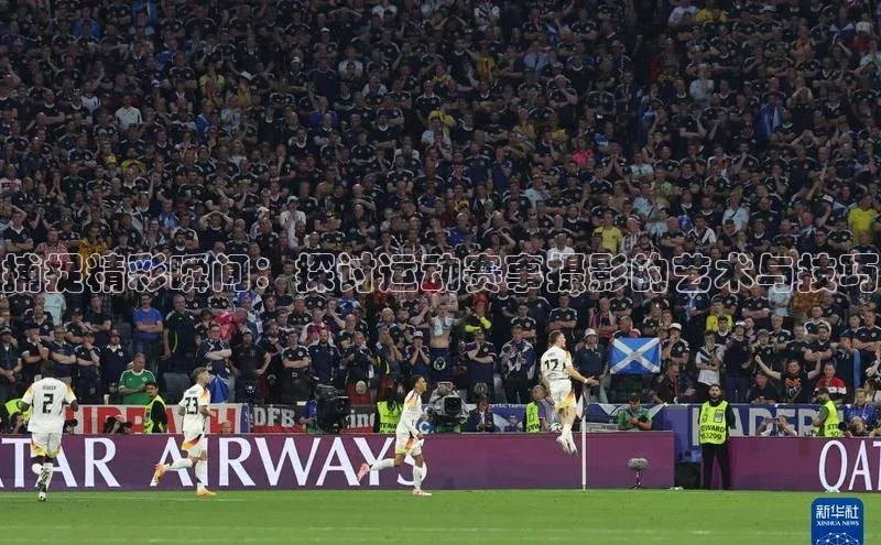 333体育app最新版本更新内容