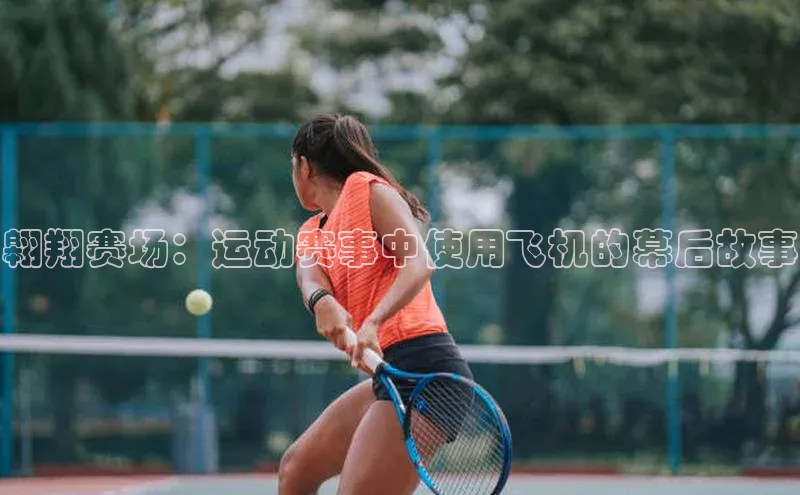 333体育平台app台登录