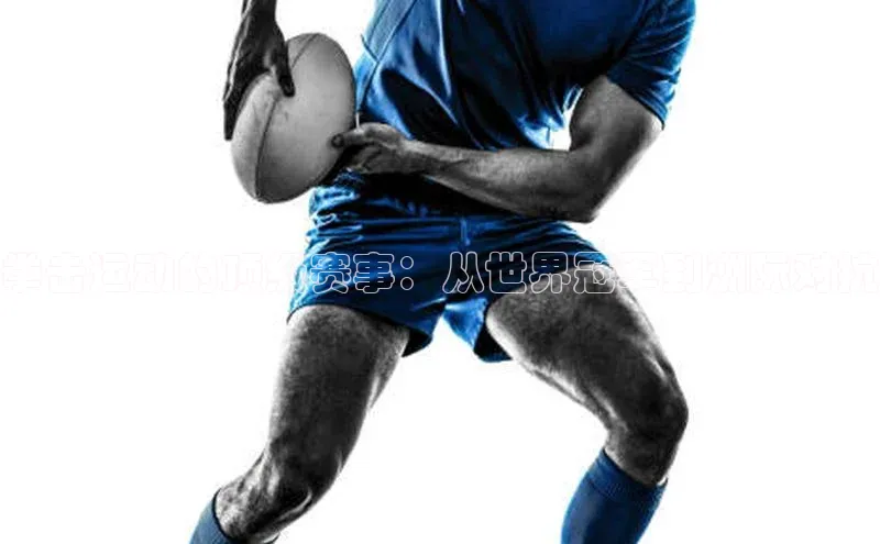 333体育官网入口