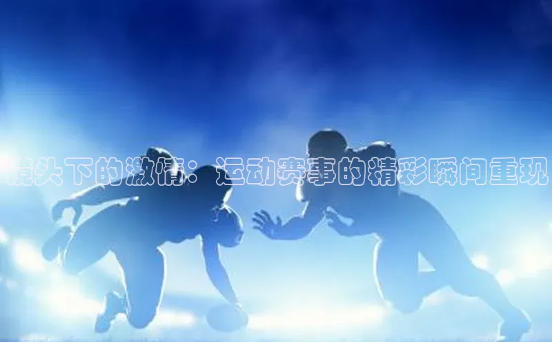 3377体育官方网站