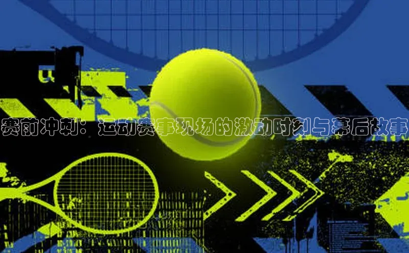 333体育官网下载