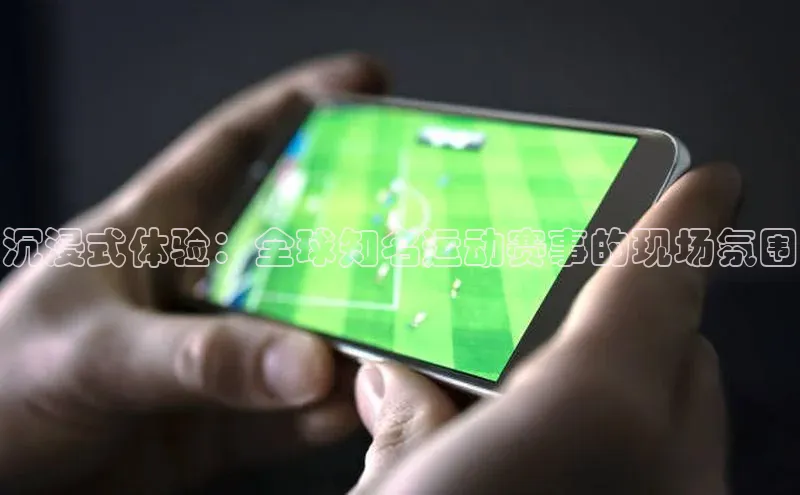沉浸式体验：全球知名运动赛事的现场氛围